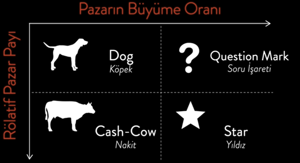 codead v2 bcg matrisi