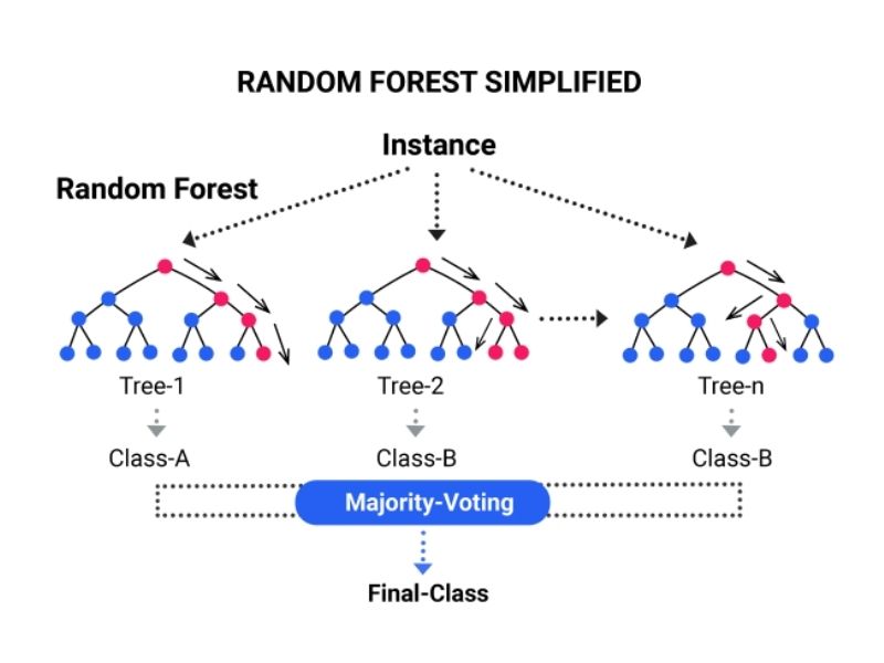 denetimli ve denetimsiz öğrenme