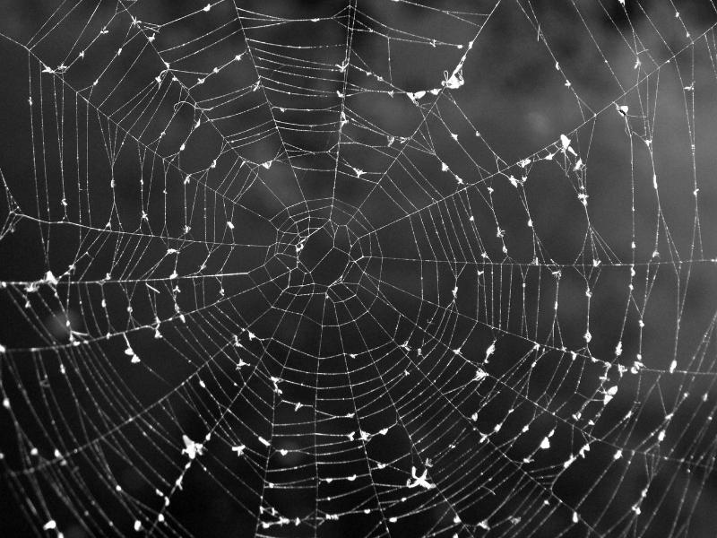 Marketplace SEO: Üründen Büyüyen Görünürlük 3 CodeAd marketplace seo